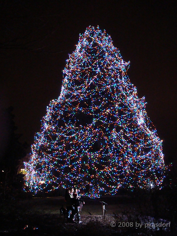 064 Toledo Zoo Light Show [2008 Dec 27].JPG - Scenes from the Toledo Zoo Light Show.